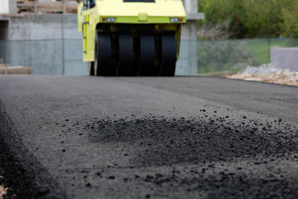 Best Residential Driveway Paver Services  in Penitas, TX