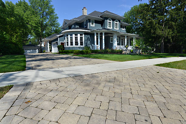 Best Affordable Driveway Paving  in Penitas, TX